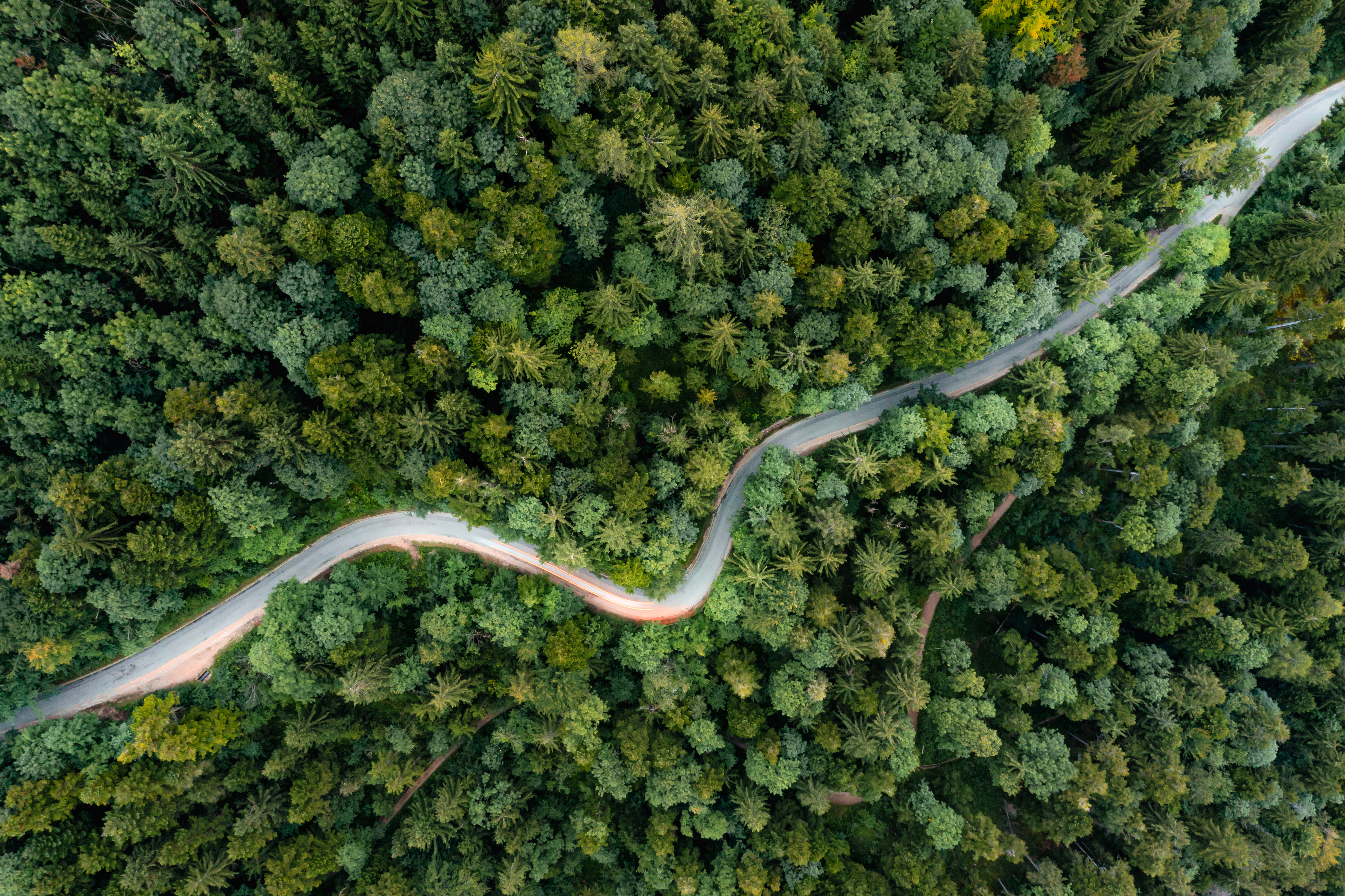 AdobeStock_451876759.jpeg